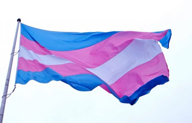 Image result for Trans Awareness Month