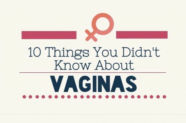 10 Things You Didn’t Know About Vaginas