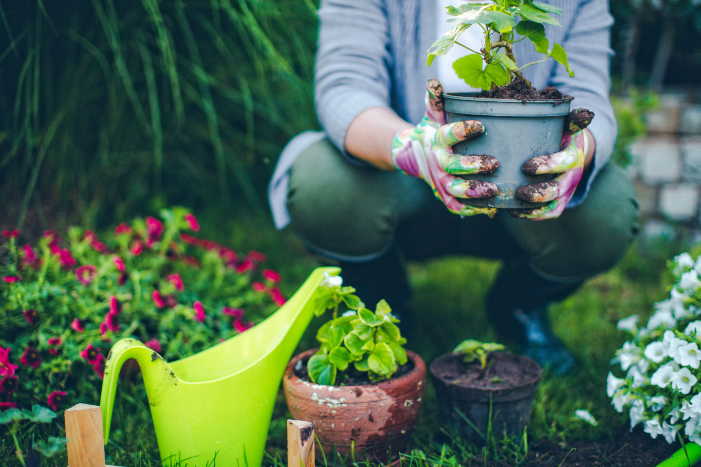 How Gardening Helped My Depression